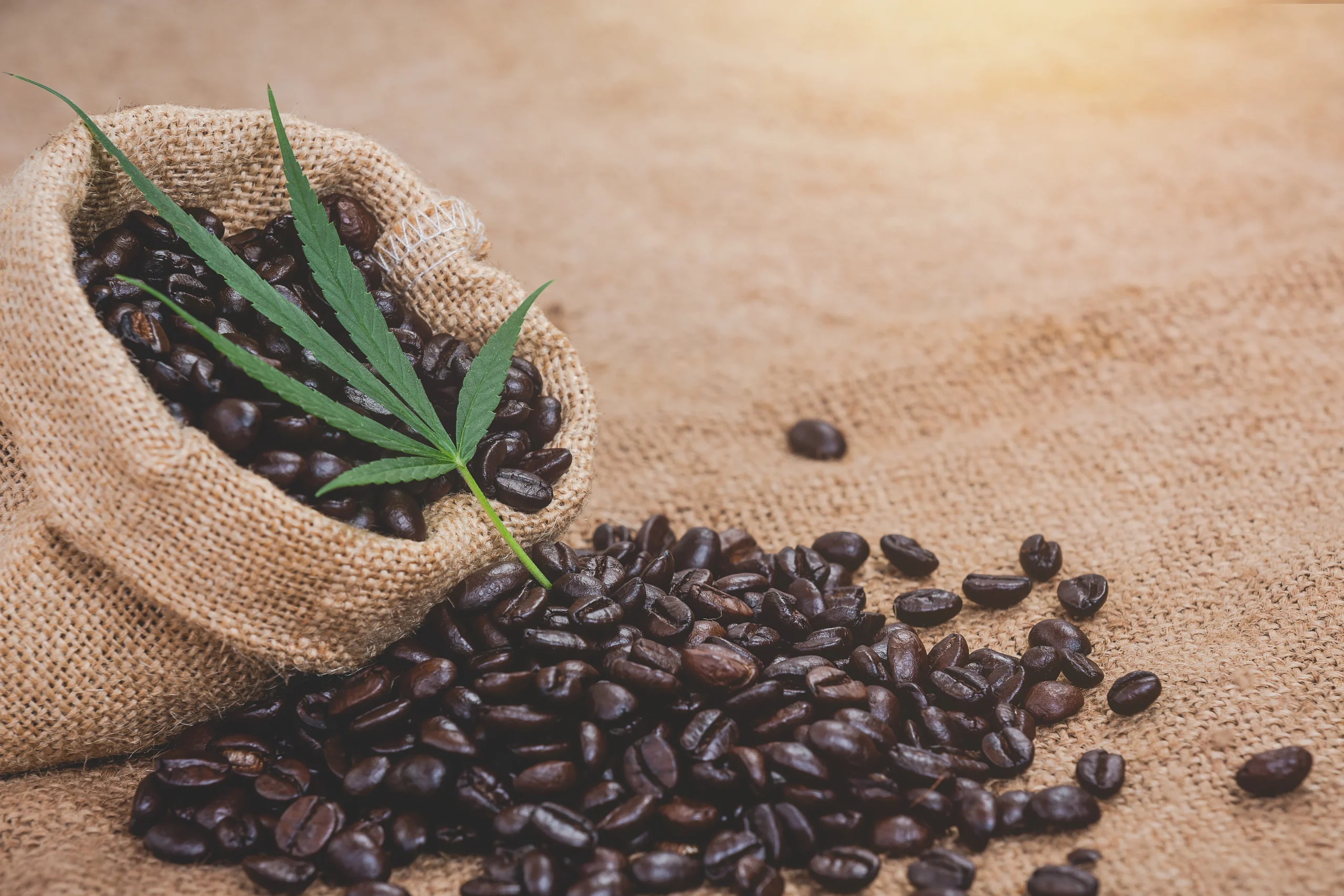 kolanda-regina kaffee Banner Shopify Store Case Study